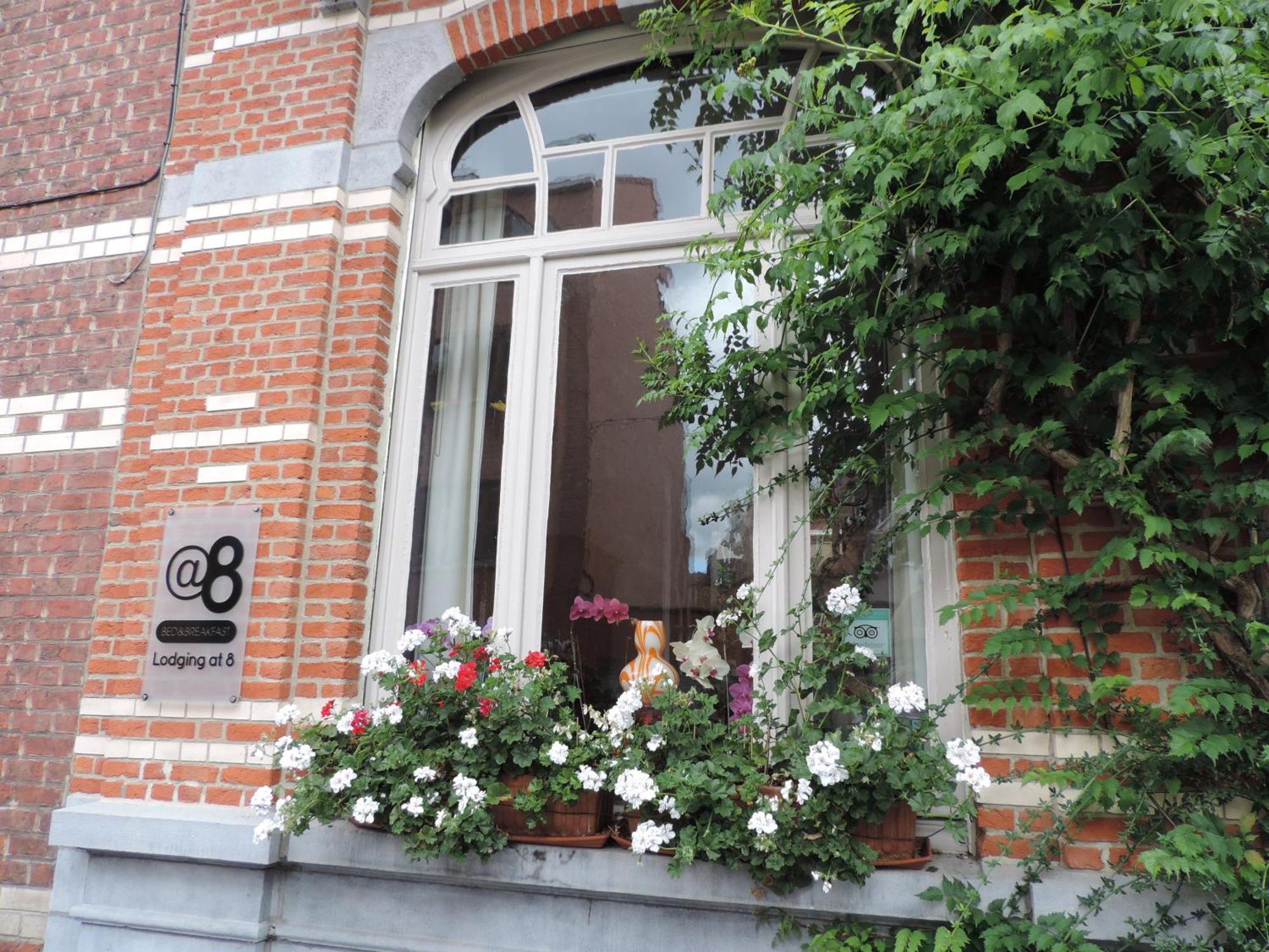 B&B Lodging At 8 Льовен Екстериор снимка